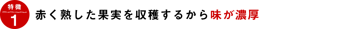 赤く熟した果実を収穫するから味が濃厚