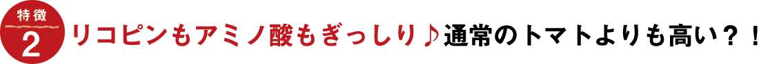 リコピンもアミノ酸もぎっしり!通常のトマトよりも高い?